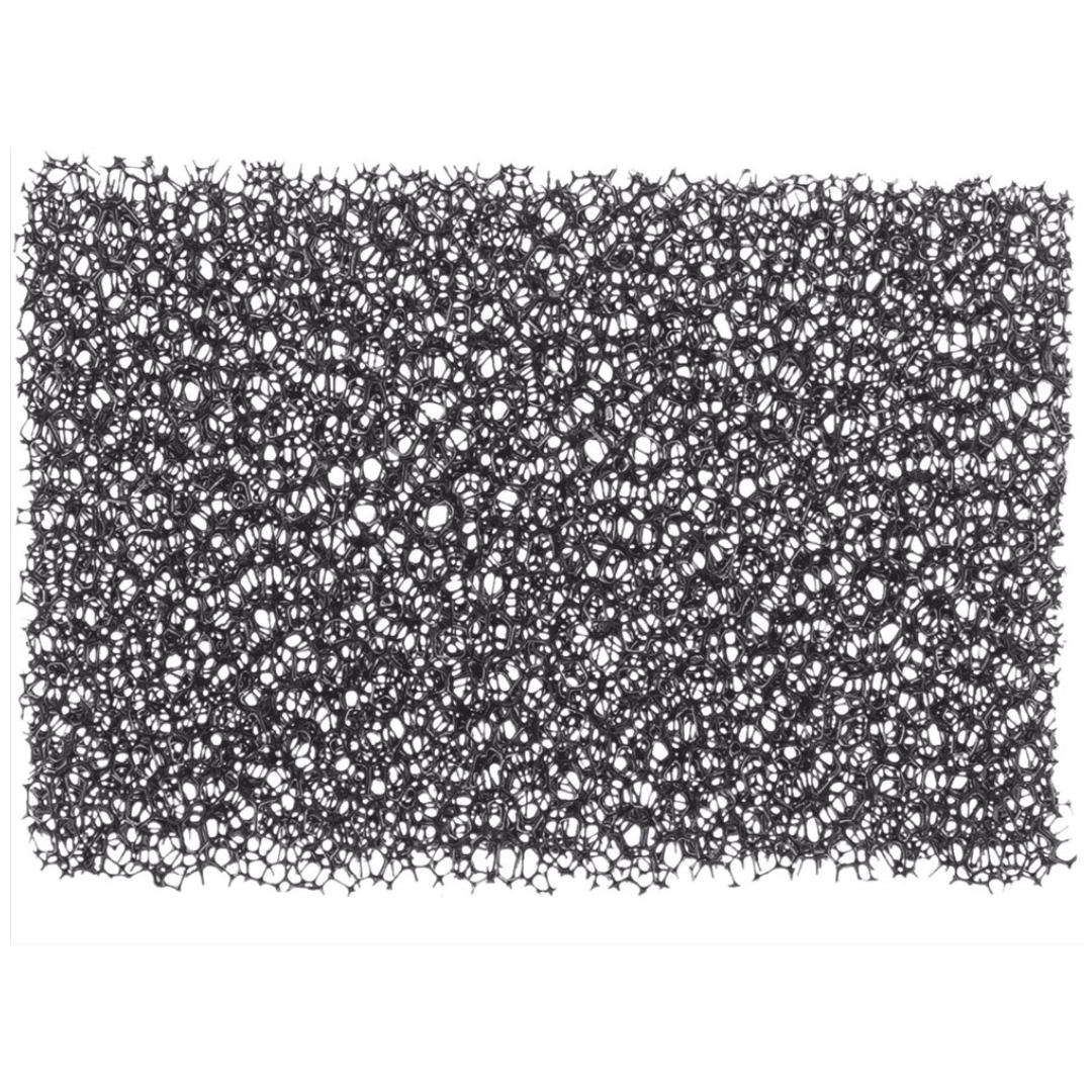 24445-1