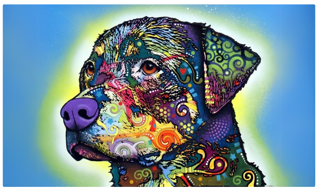 rottweilerdryamte2