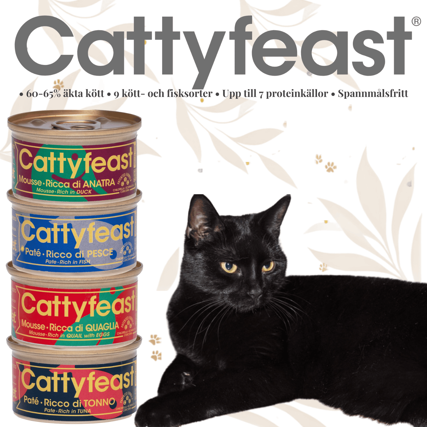 Cattyfeast 2